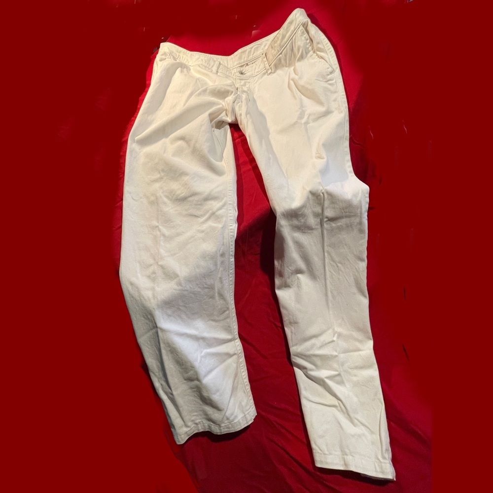 Ruskin Men's 34W cotton trouser
